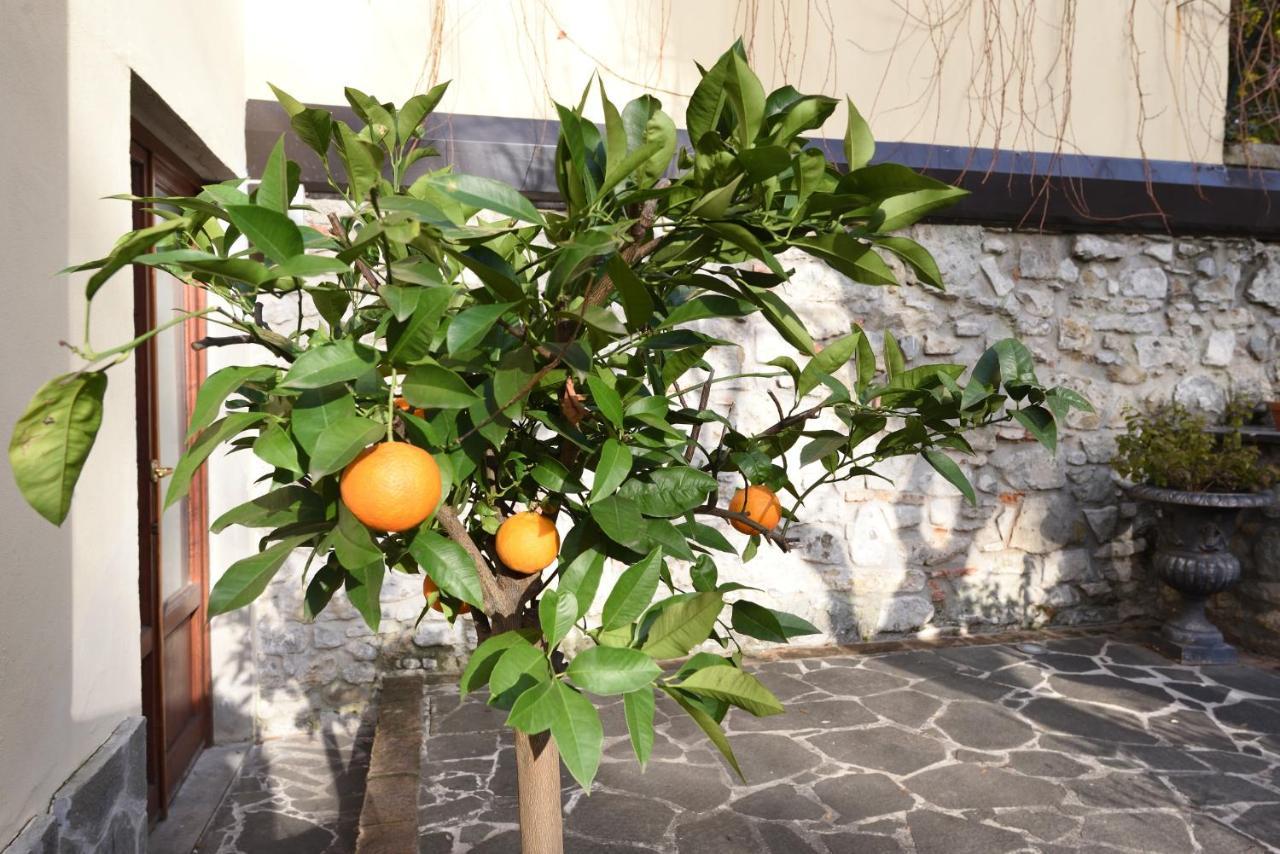 Relais La Corte Di Cloris Firenze Kültér fotó